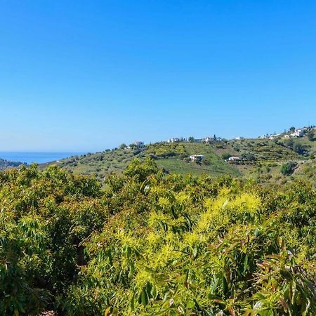 Villa Javier De Frigiliana By Ruralidays Exterior foto